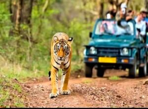 करियाआमा गेट से मिलेगा रोमांचक सफर